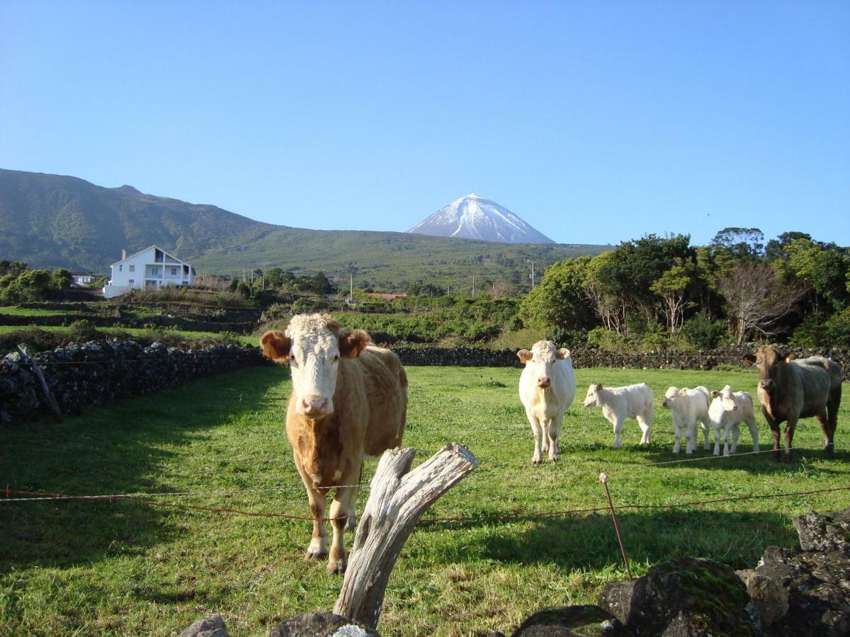 Casa Do Canto Sao Roque do Pico Bagian luar foto